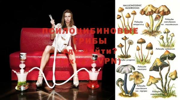 марки nbome Верхний Тагил