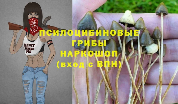таблы Верея